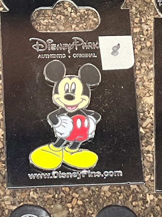 Mickey Mouse Disney Park Pin